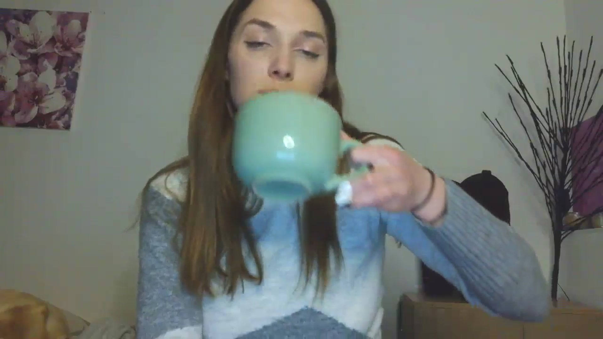 Gallery image thumbnail from HaleyReed's myfreecams stream on, 02/01/2026, 17:43 image 18 of 20