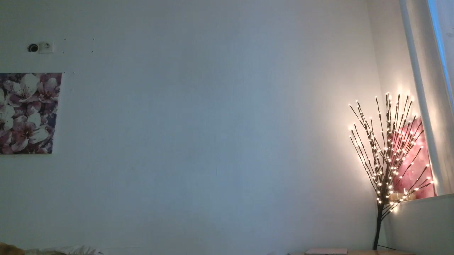 Gallery image thumbnail from HaleyReed's myfreecams stream on, 02/08/2026, 14:31 image 11 of 20