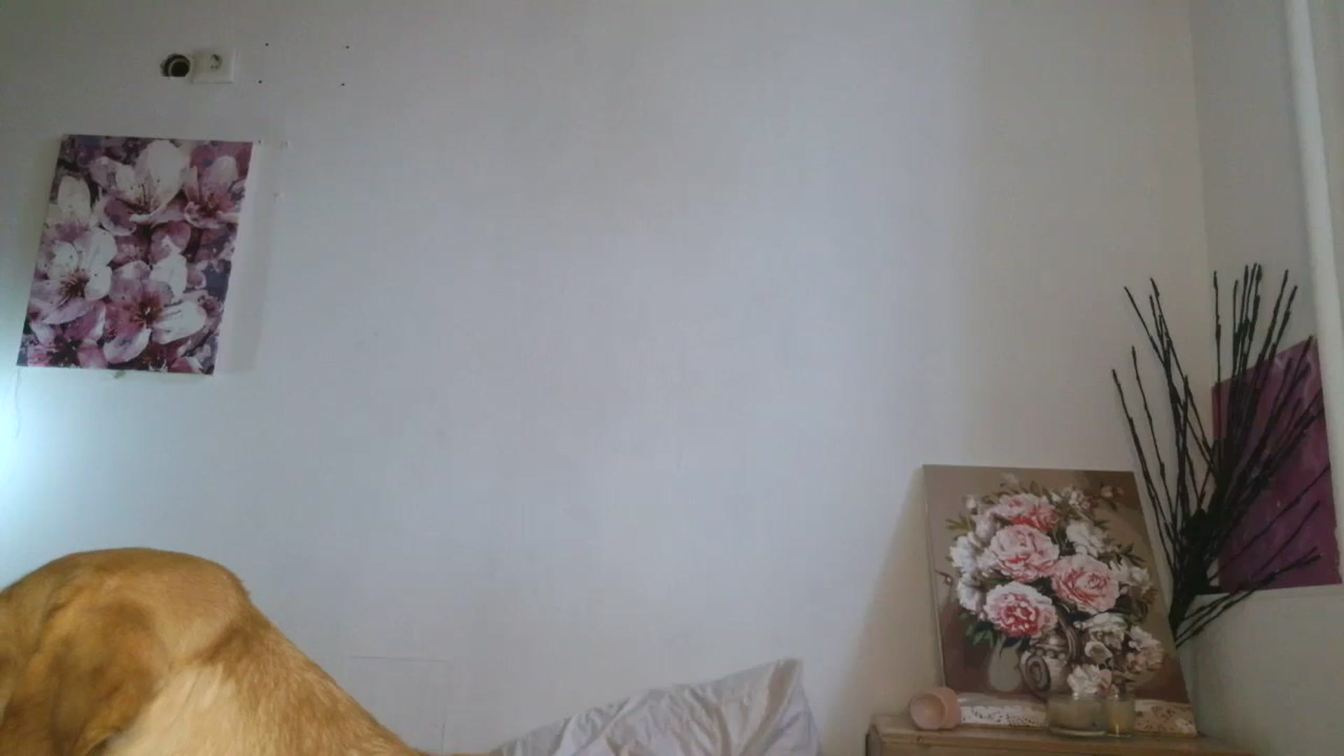 Gallery image thumbnail from HaleyReed's myfreecams stream on, 02/12/2026, 11:55 image 6 of 20