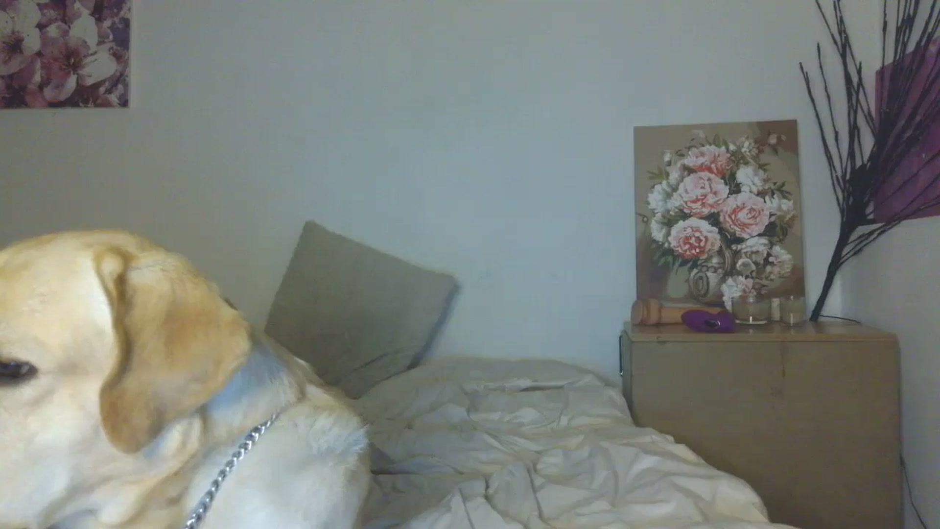 Gallery image thumbnail from HaleyReed's myfreecams stream on, 02/13/2026, 18:51 image 10 of 20
