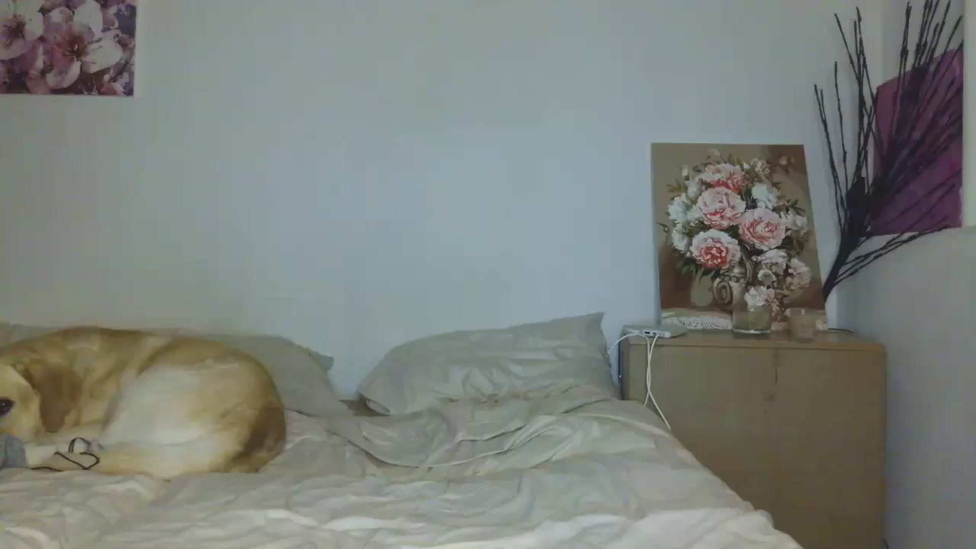 Gallery image thumbnail from HaleyReed's myfreecams stream on, 02/19/2026, 16:33 image 2 of 20