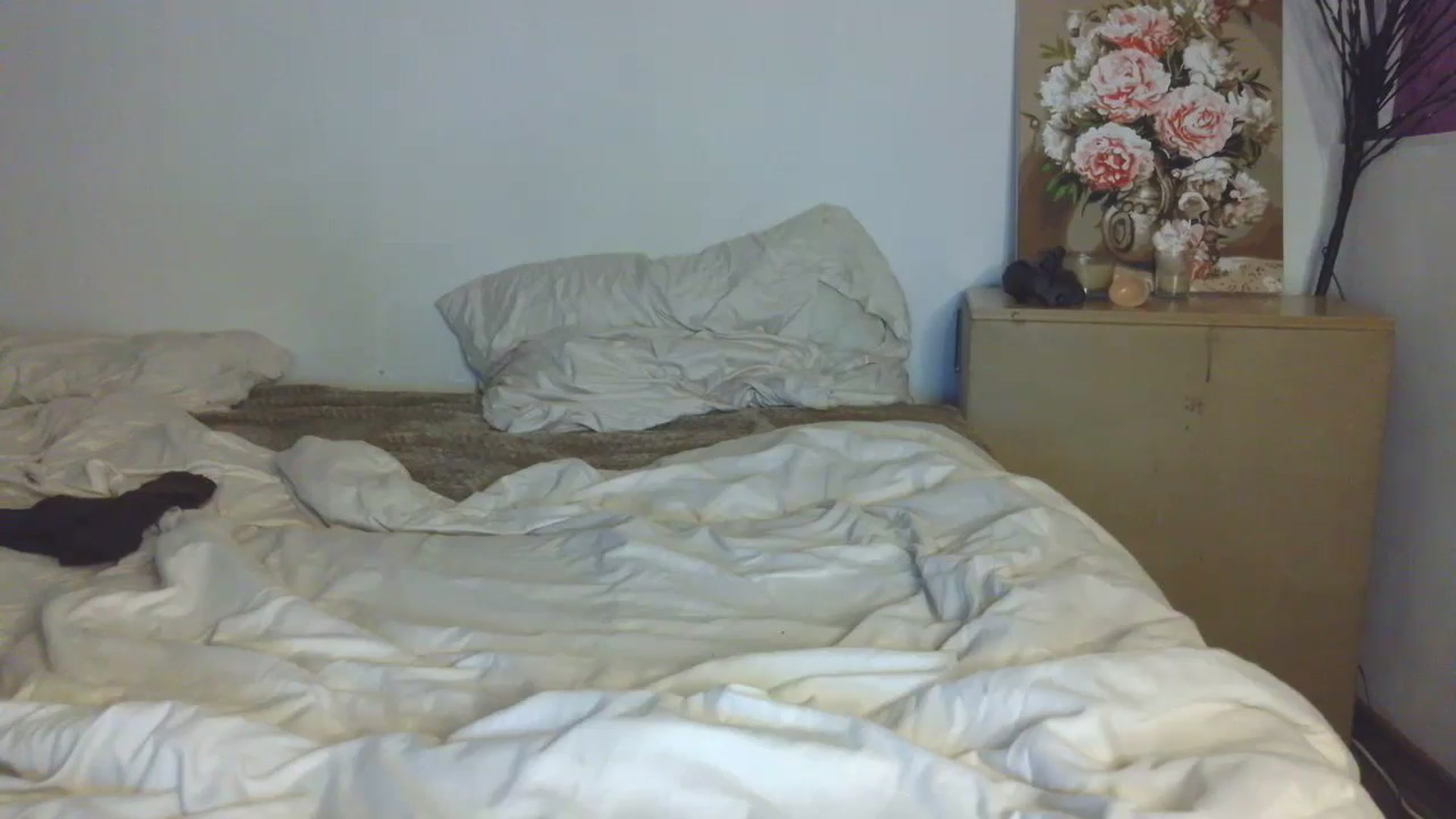 Gallery image thumbnail from HaleyReed's myfreecams stream on, 02/25/2026, 16:45 image 5 of 20