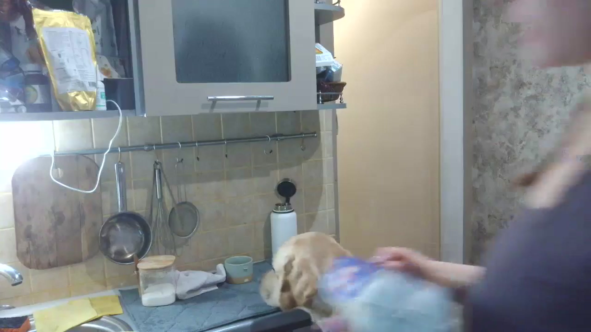 Gallery image thumbnail from HaleyReed's myfreecams stream on, 02/26/2026, 17:00 image 8 of 20