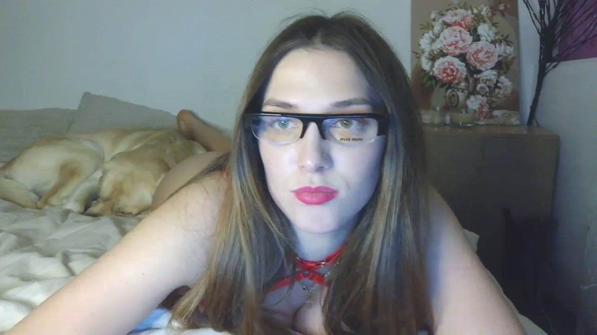 Gallery image thumbnail from HaleyReed's myfreecams stream on, 03/03/2026, 16:02 image 14 of 20