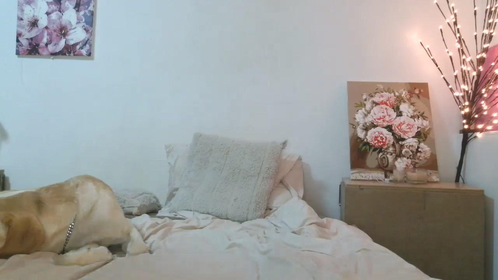 Gallery image thumbnail from HaleyReed's myfreecams stream on, 03/09/2026, 17:25 image 2 of 20