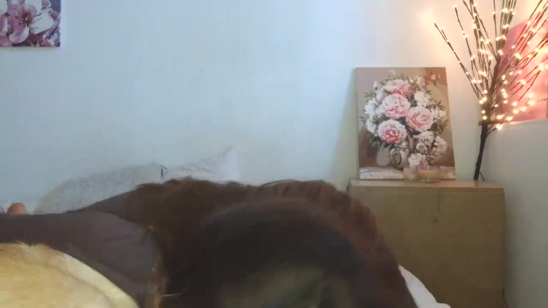 Gallery image thumbnail from HaleyReed's myfreecams stream on, 03/13/2026, 13:34 image 16 of 20