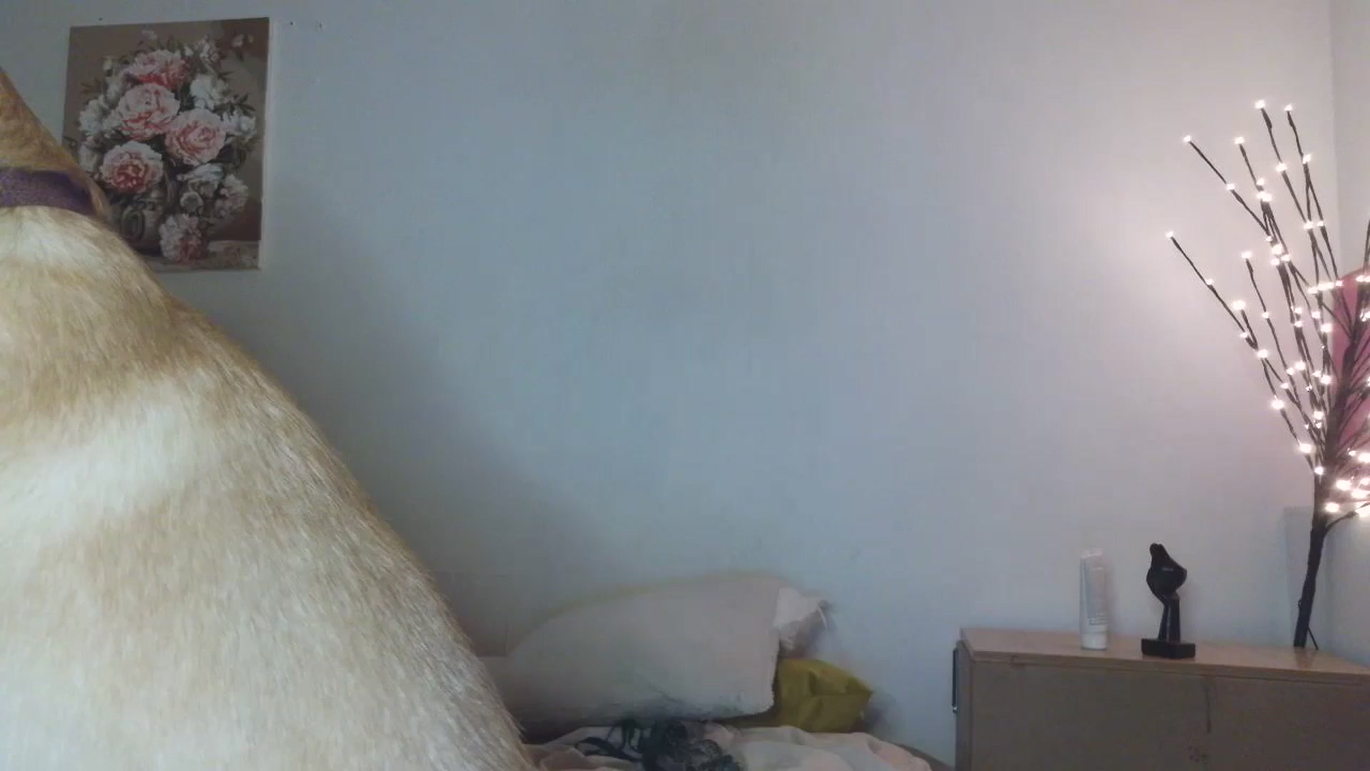 Gallery image thumbnail from HaleyReed's myfreecams stream on, 03/23/2026, 18:00 image 18 of 20