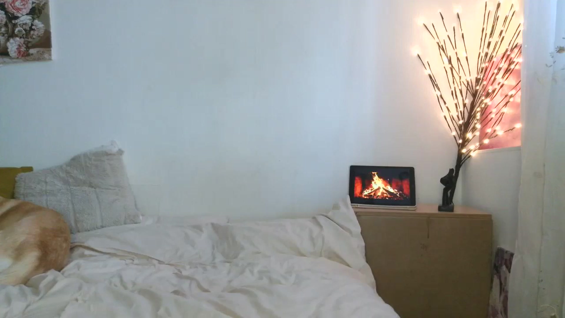 Gallery image thumbnail from HaleyReed's myfreecams stream on, 03/26/2026, 13:28 image 15 of 20