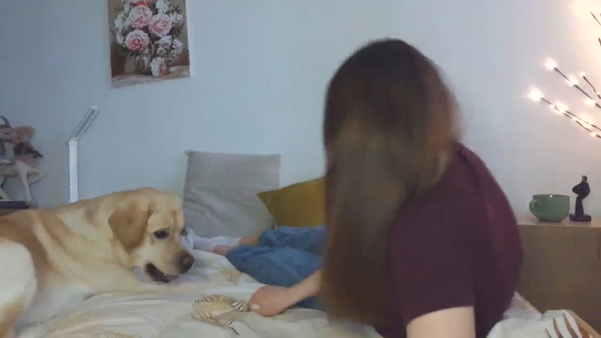 Gallery image thumbnail from HaleyReed's myfreecams stream on, 03/30/2026, 14:57 image 13 of 20