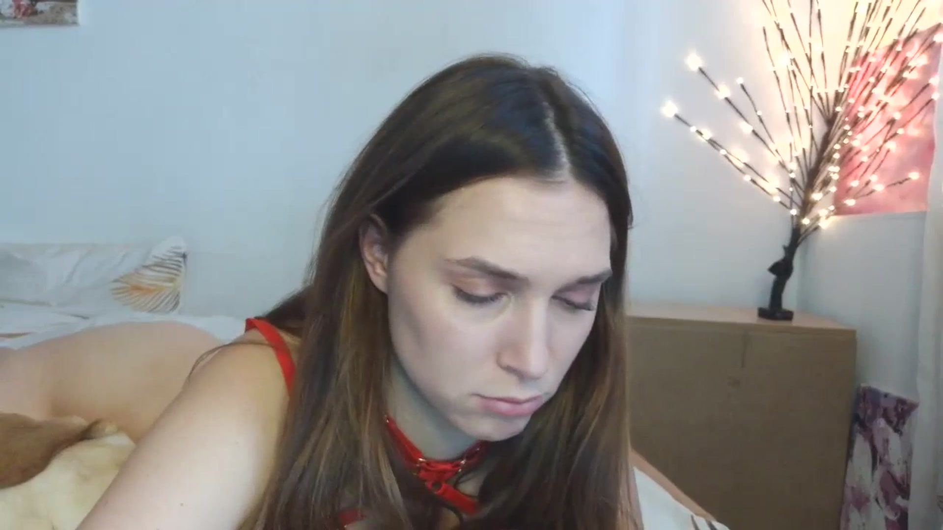 Gallery image thumbnail from HaleyReed's myfreecams stream on, 04/02/2026, 12:19 image 11 of 20