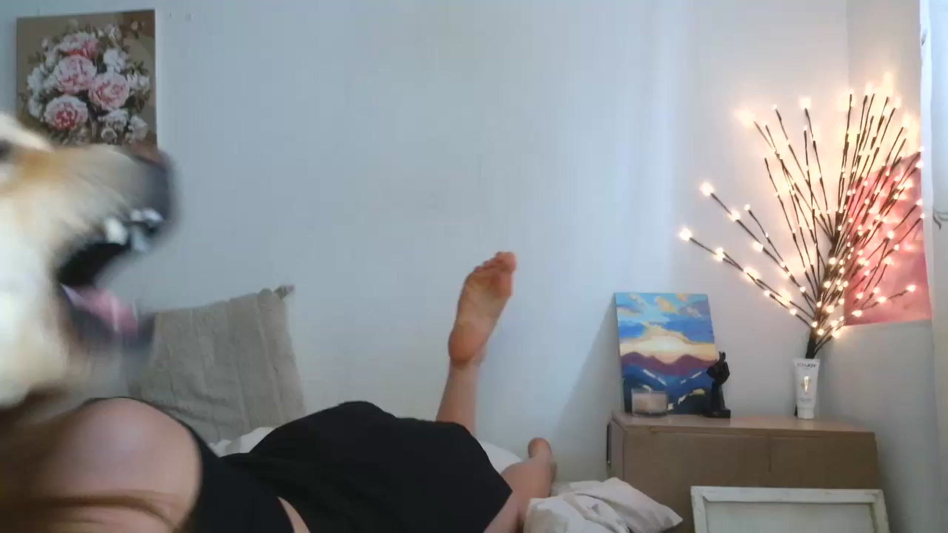 Gallery image thumbnail from HaleyReed's myfreecams stream on, 04/08/2026, 11:53 image 4 of 20