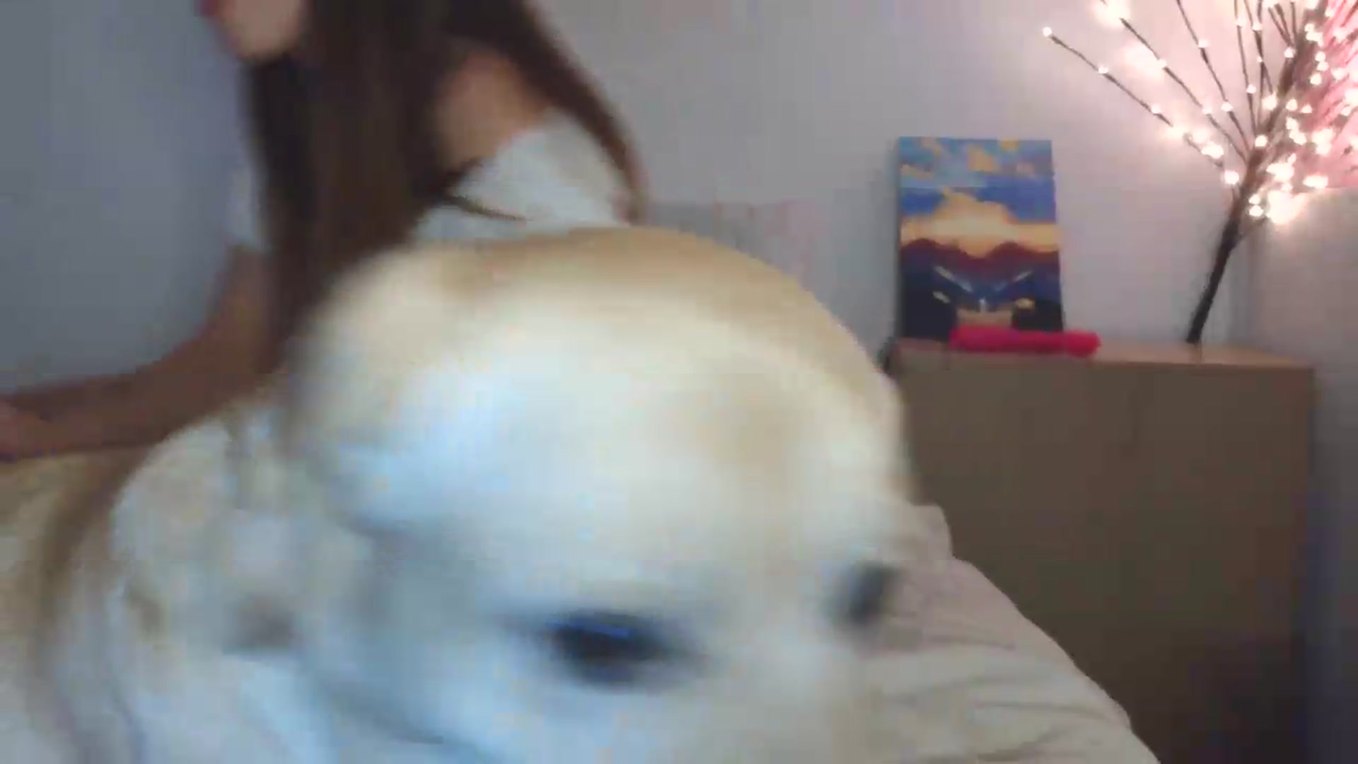 Gallery image thumbnail from HaleyReed's myfreecams stream on, 05/13/2026, 15:39 image 4 of 20