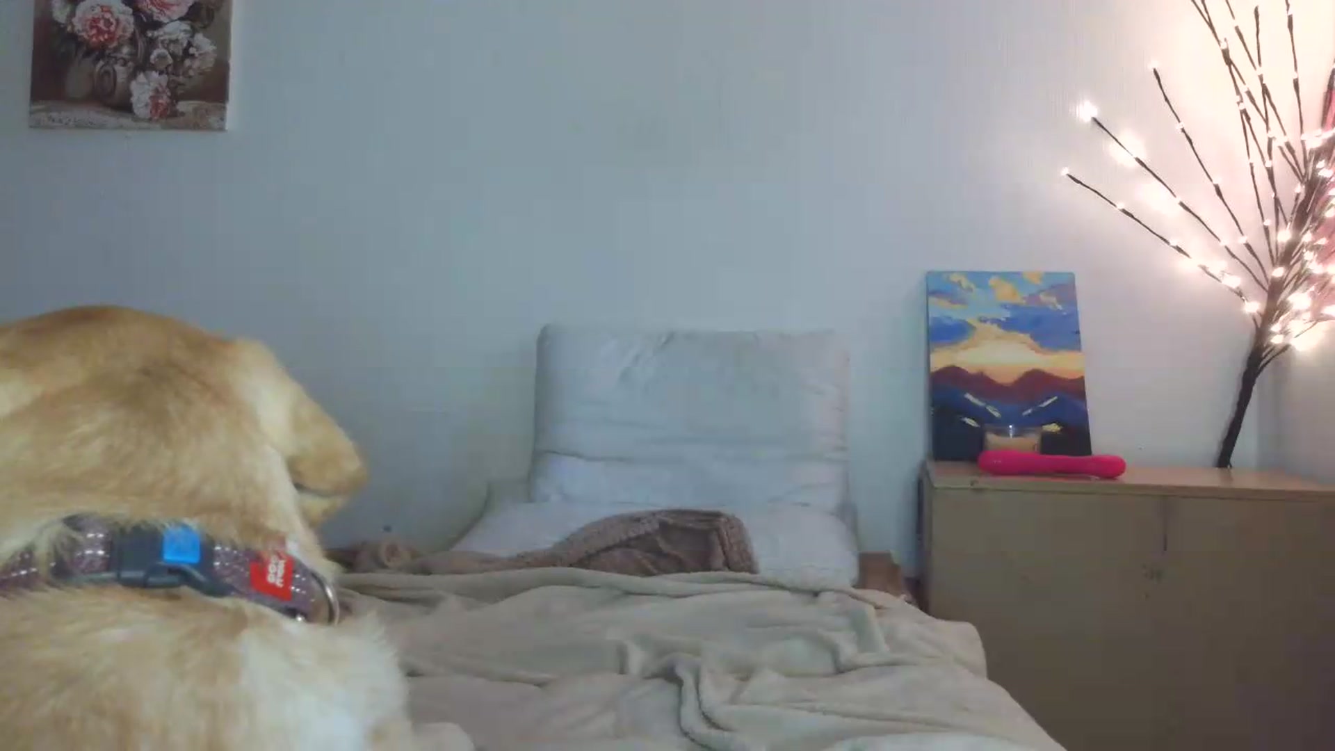 Gallery image thumbnail from HaleyReed's myfreecams stream on, 05/13/2026, 15:39 image 7 of 20