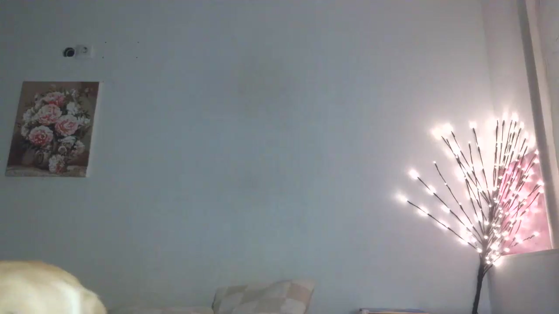 Gallery image thumbnail from HaleyReed's myfreecams stream on, 05/18/2026, 18:06 image 14 of 20