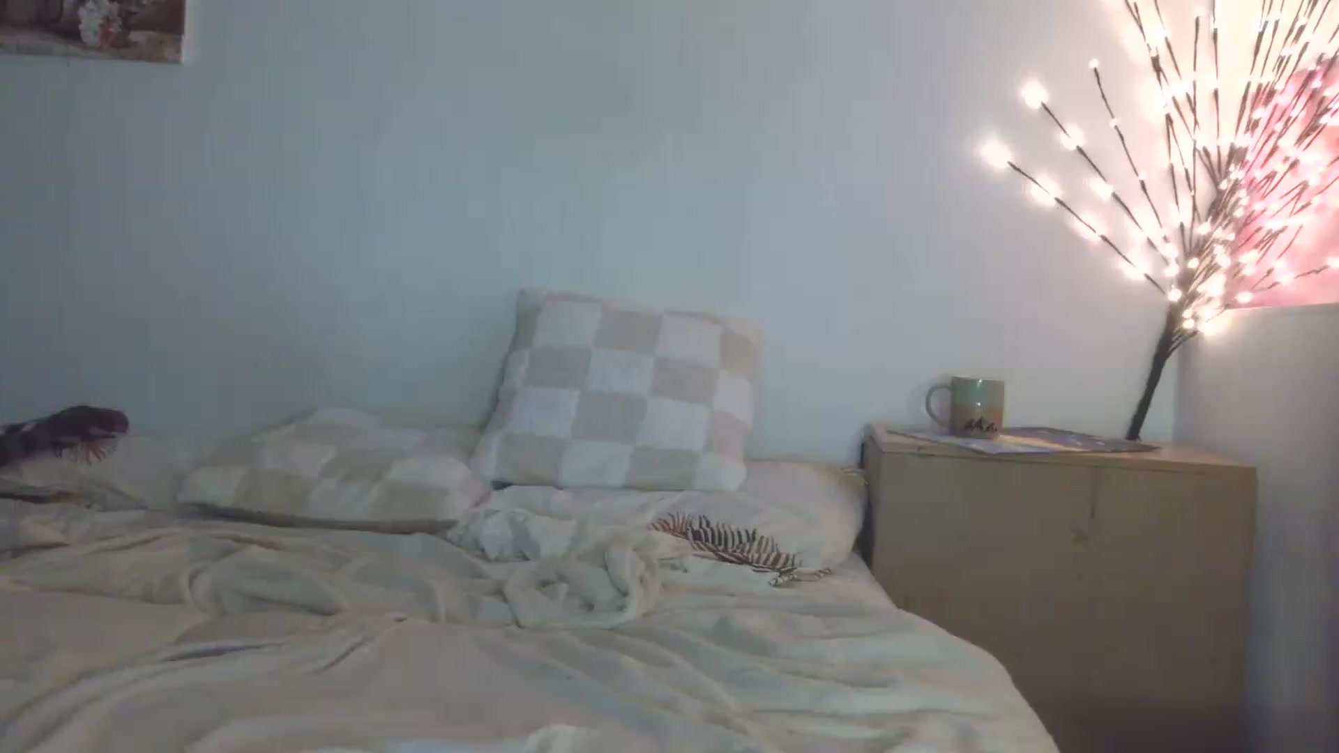Gallery image thumbnail from HaleyReed's myfreecams stream on, 05/20/2026, 17:46 image 7 of 20