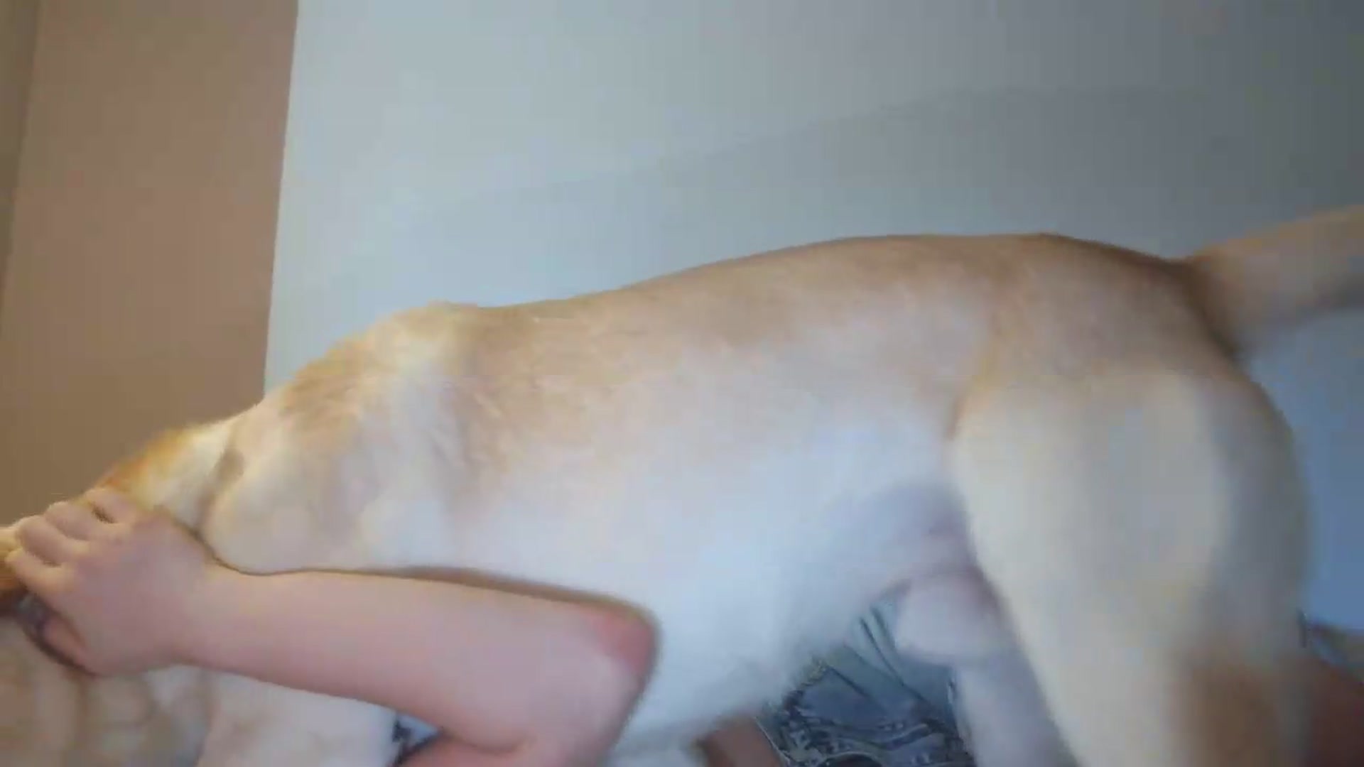 Gallery image thumbnail from HaleyReed's myfreecams stream on, 05/21/2026, 16:38 image 8 of 20