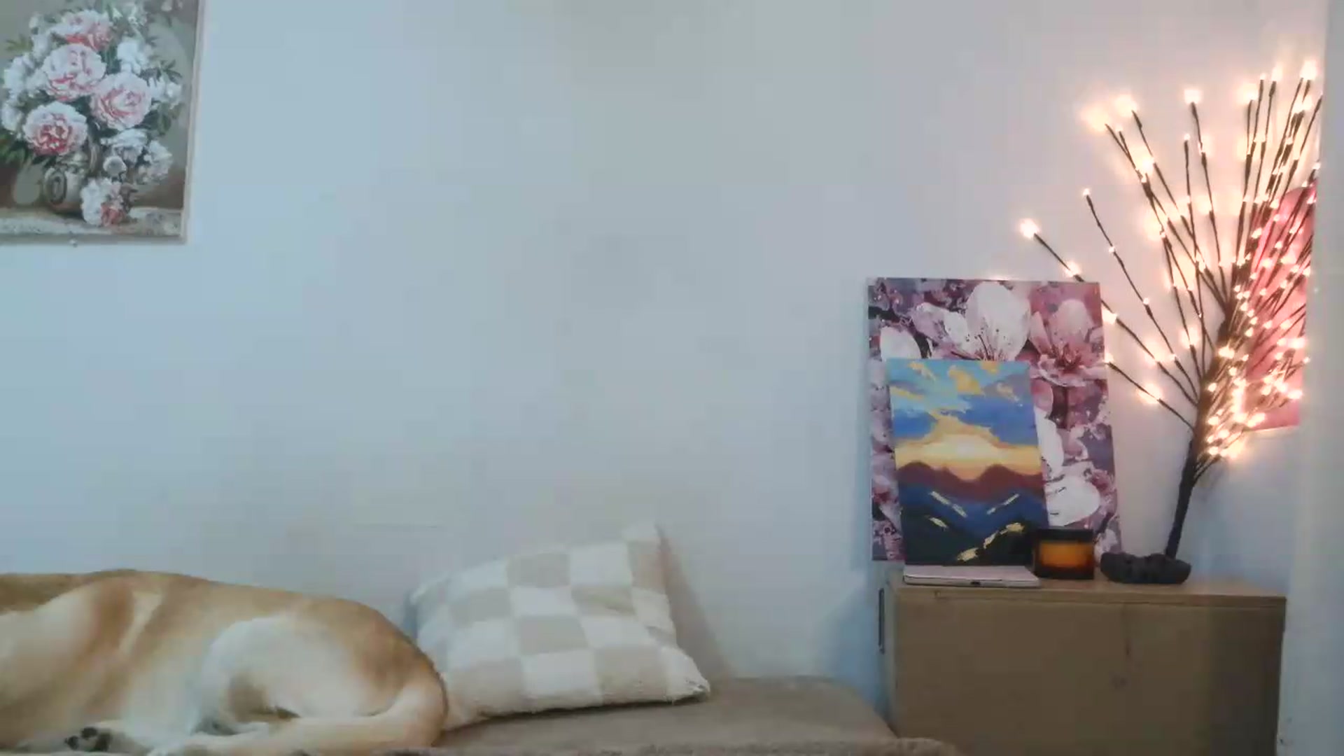 Gallery image thumbnail from HaleyReed's myfreecams stream on, 05/31/2026, 15:29 image 13 of 20