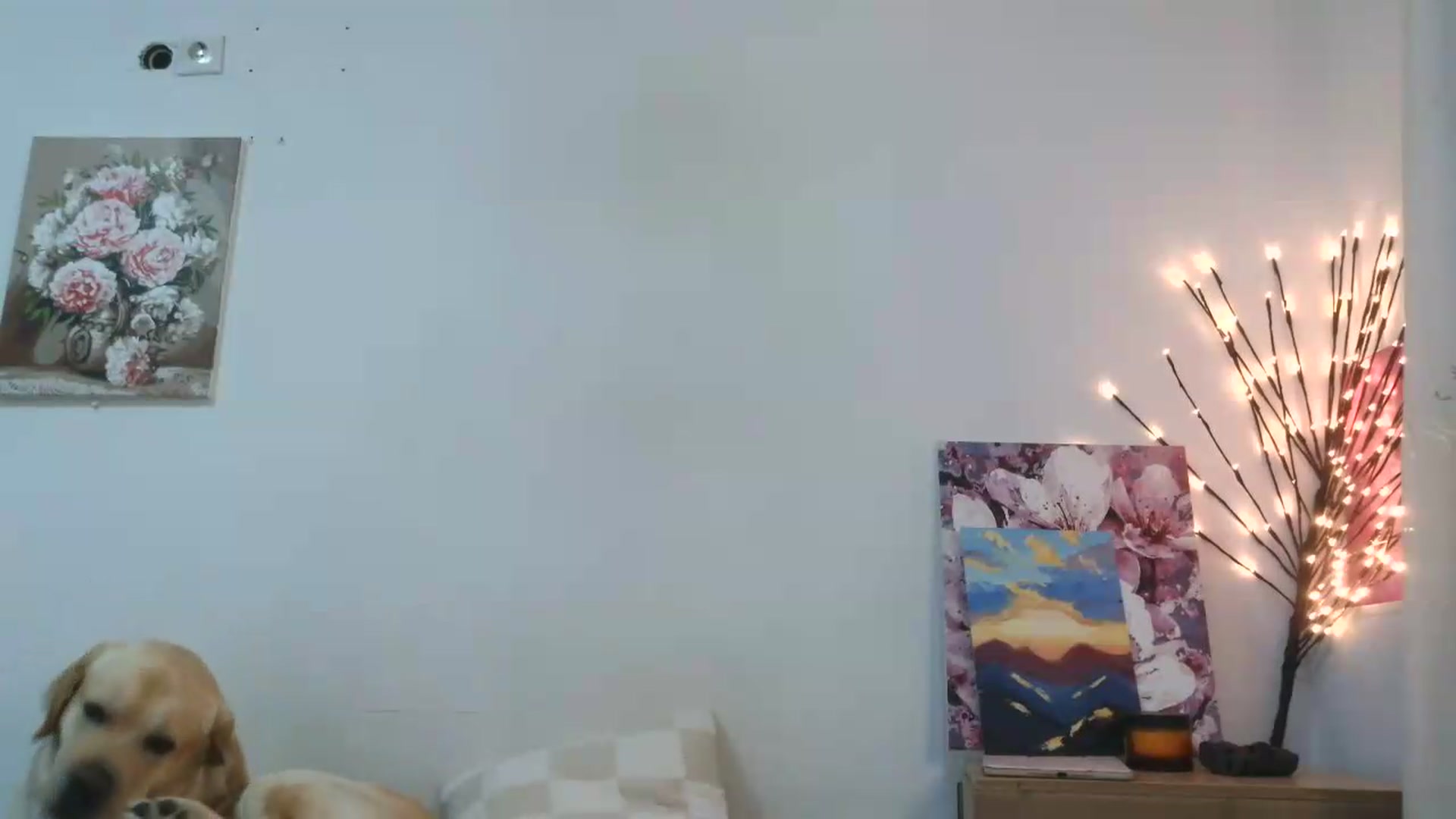 Gallery image thumbnail from HaleyReed's myfreecams stream on, 05/31/2026, 15:29 image 12 of 20