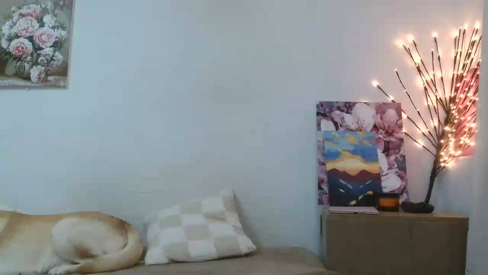 Gallery image thumbnail from HaleyReed's myfreecams stream on, 05/31/2026, 15:29 image 19 of 20