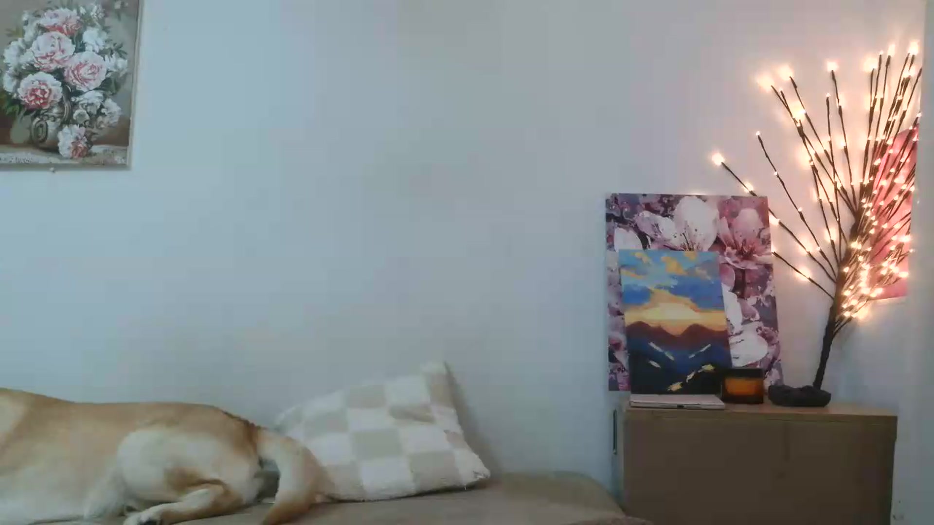 Gallery image thumbnail from HaleyReed's myfreecams stream on, 05/31/2026, 15:29 image 18 of 20