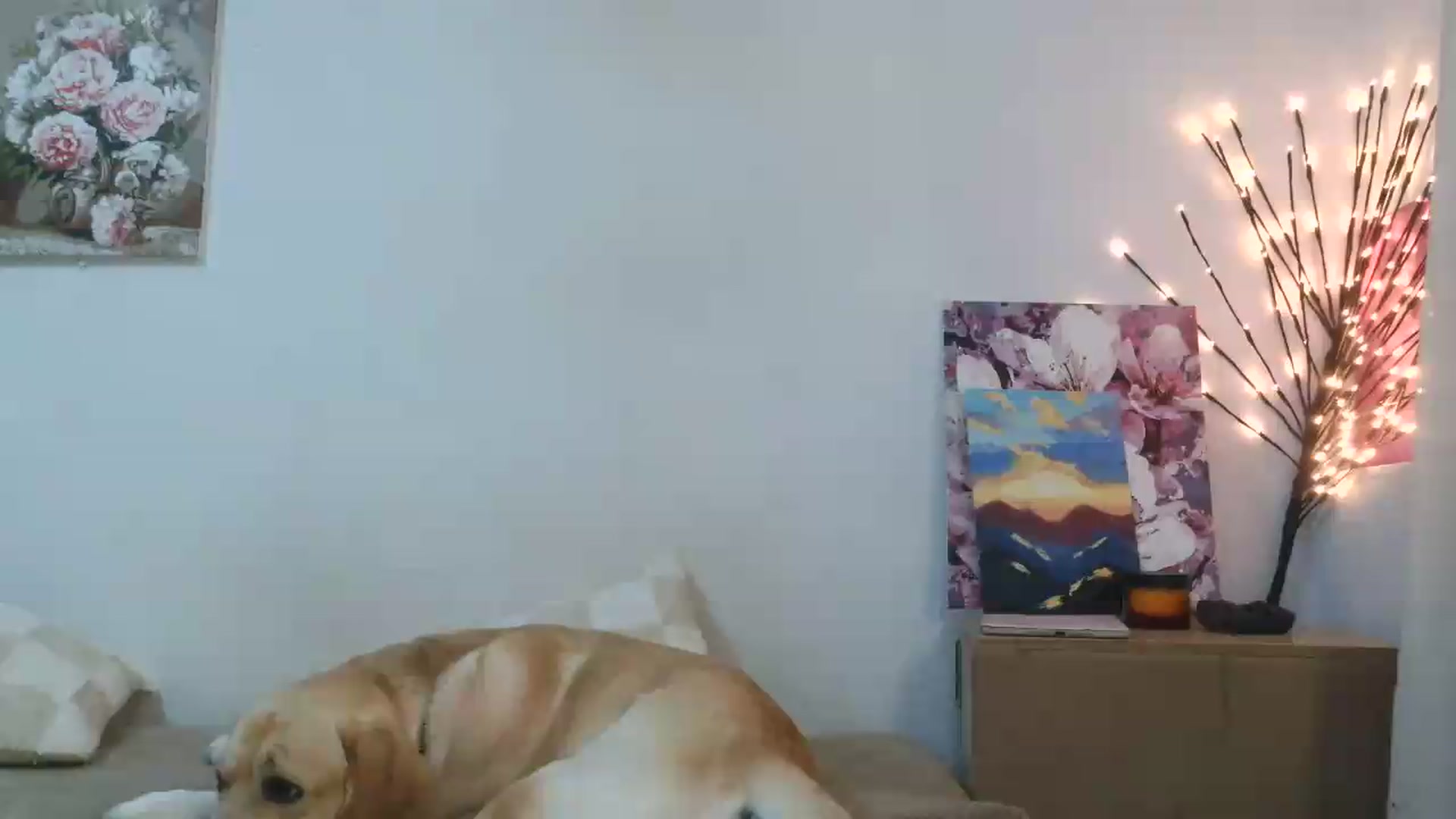 Gallery image thumbnail from HaleyReed's myfreecams stream on, 05/31/2026, 15:29 image 16 of 20
