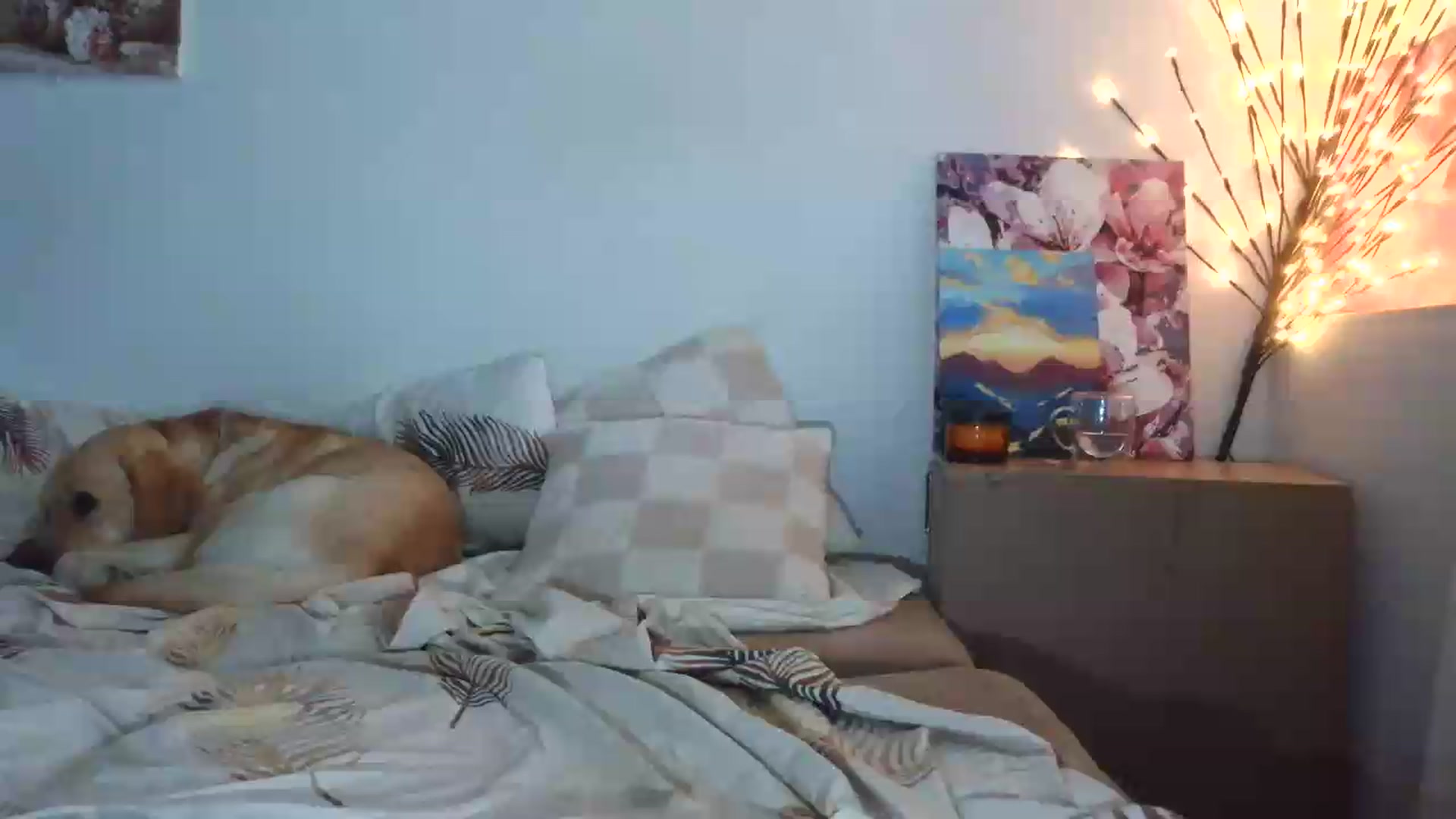 Gallery image thumbnail from HaleyReed's myfreecams stream on, 06/11/2026, 14:34 image 5 of 20