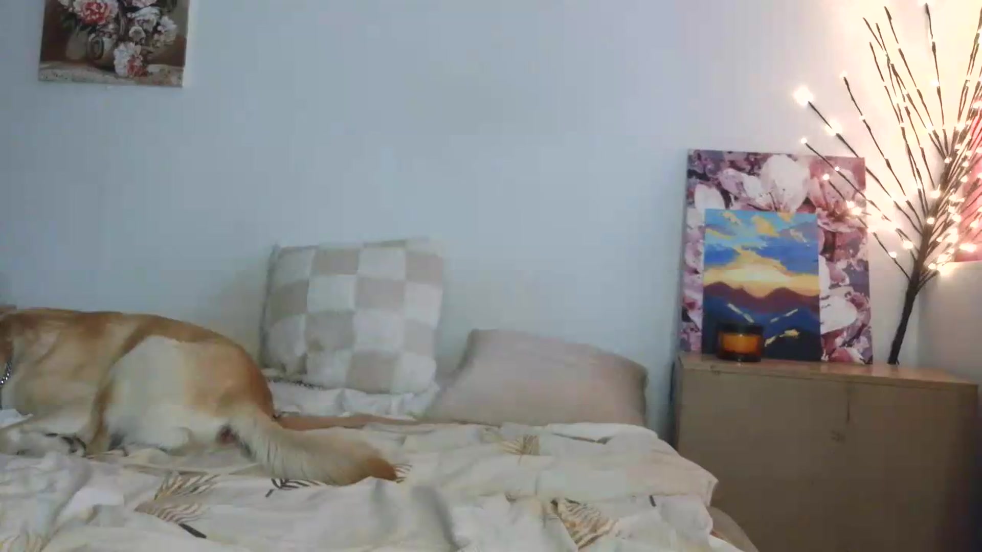 Gallery image thumbnail from HaleyReed's myfreecams stream on, 06/15/2026, 15:59 image 9 of 20