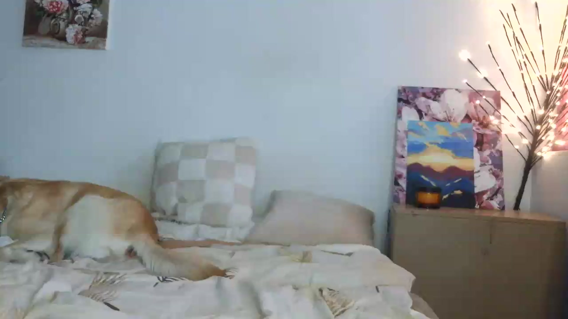 Gallery image thumbnail from HaleyReed's myfreecams stream on, 06/15/2026, 15:59 image 10 of 20
