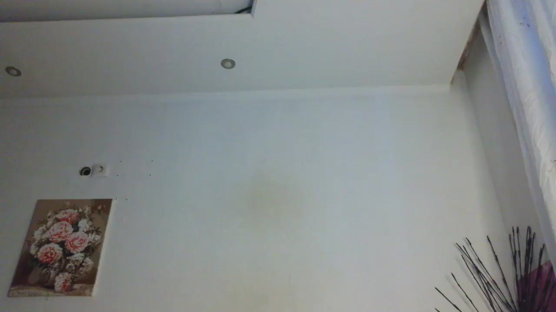 Gallery image thumbnail from HaleyReed's myfreecams stream on, 07/01/2026, 16:31 image 18 of 20