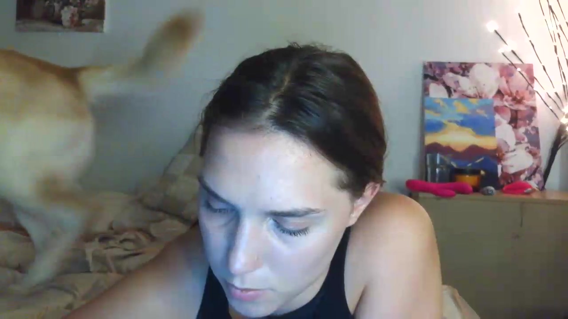 Gallery image thumbnail from HaleyReed's myfreecams stream on, 07/04/2026, 17:17 image 13 of 20