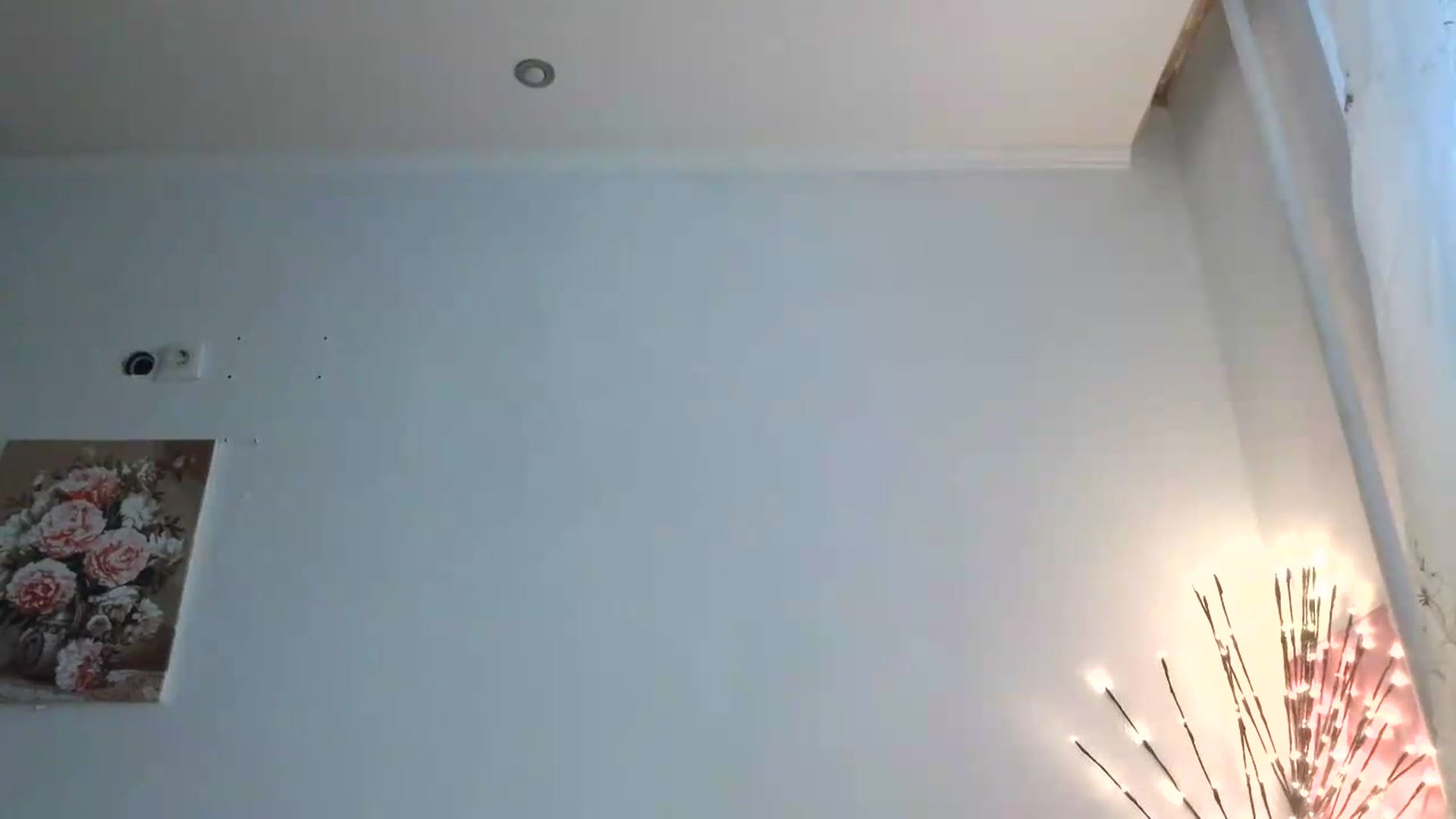 Gallery image thumbnail from HaleyReed's myfreecams stream on, 07/24/2026, 13:27 image 14 of 20