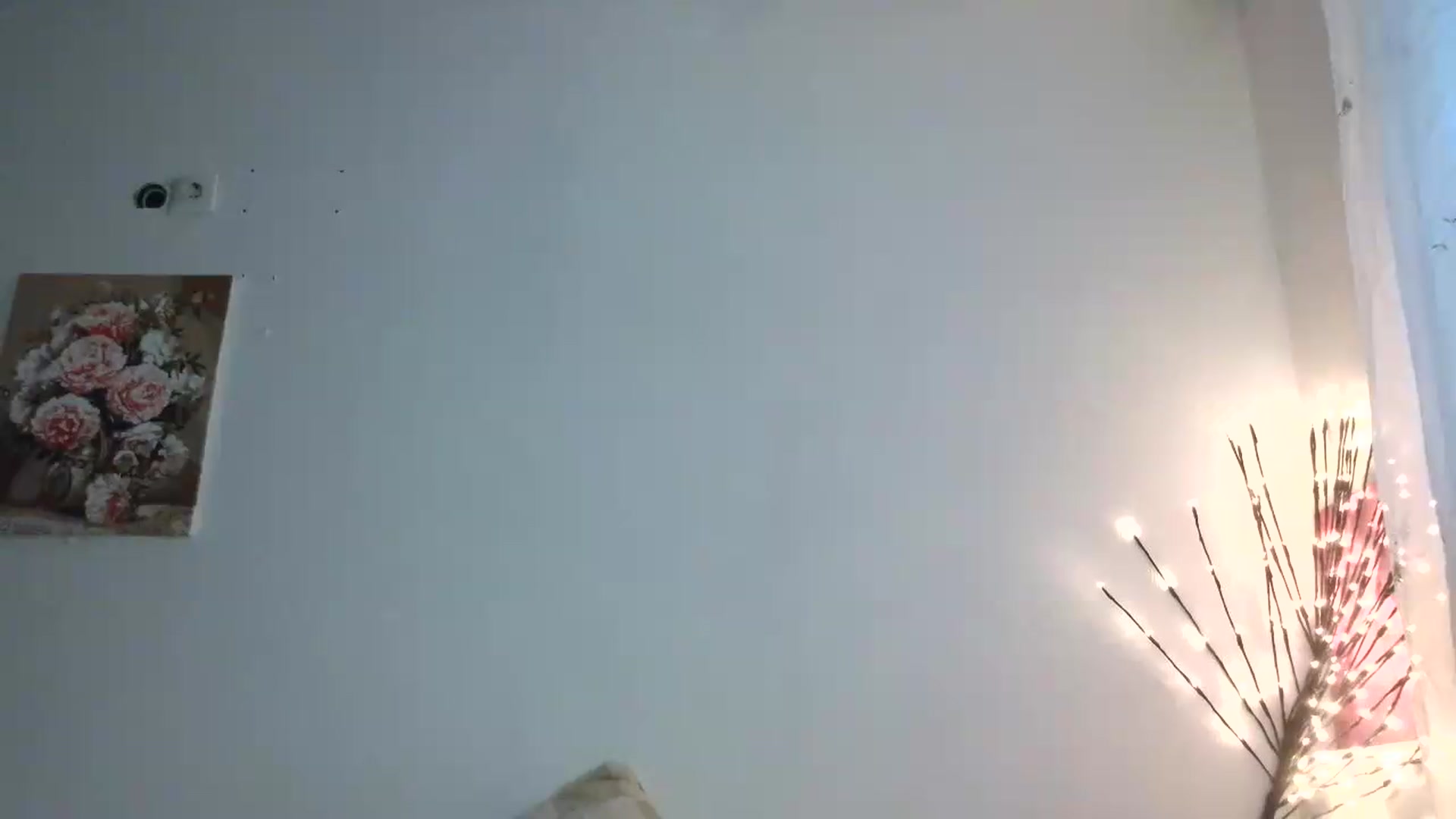 Gallery image thumbnail from HaleyReed's myfreecams stream on, 07/26/2026, 15:51 image 12 of 20