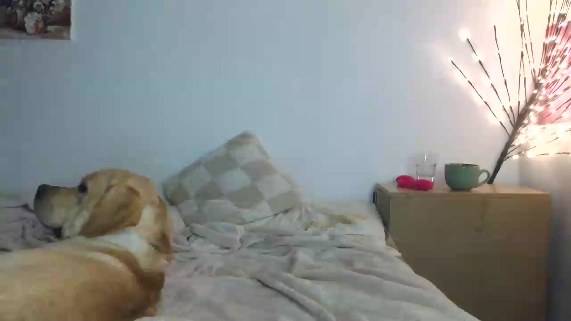 Gallery image thumbnail from HaleyReed's myfreecams stream on, 07/26/2026, 15:51 image 3 of 20