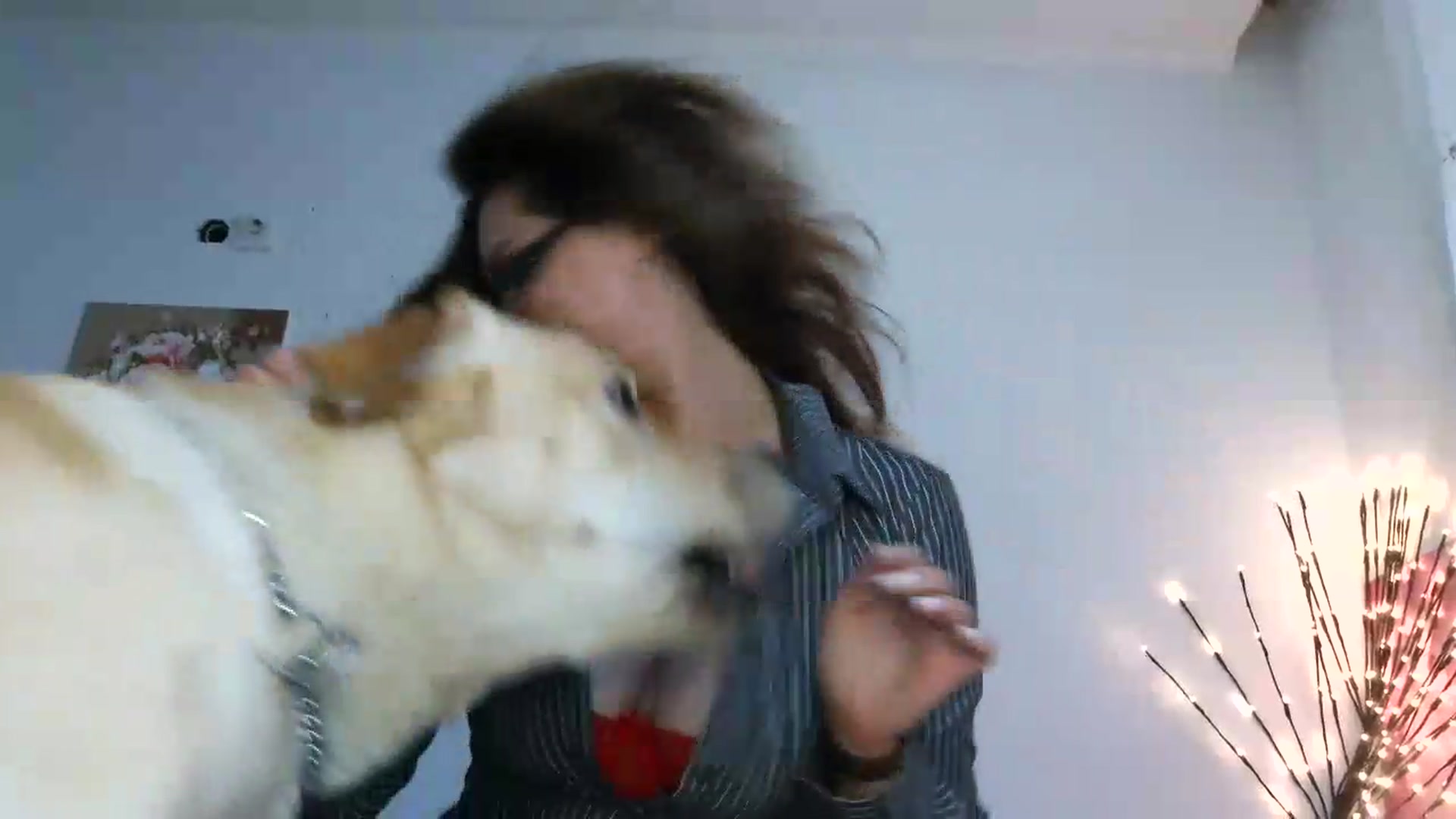 Gallery image thumbnail from HaleyReed's myfreecams stream on, 07/30/2026, 13:36 image 7 of 20