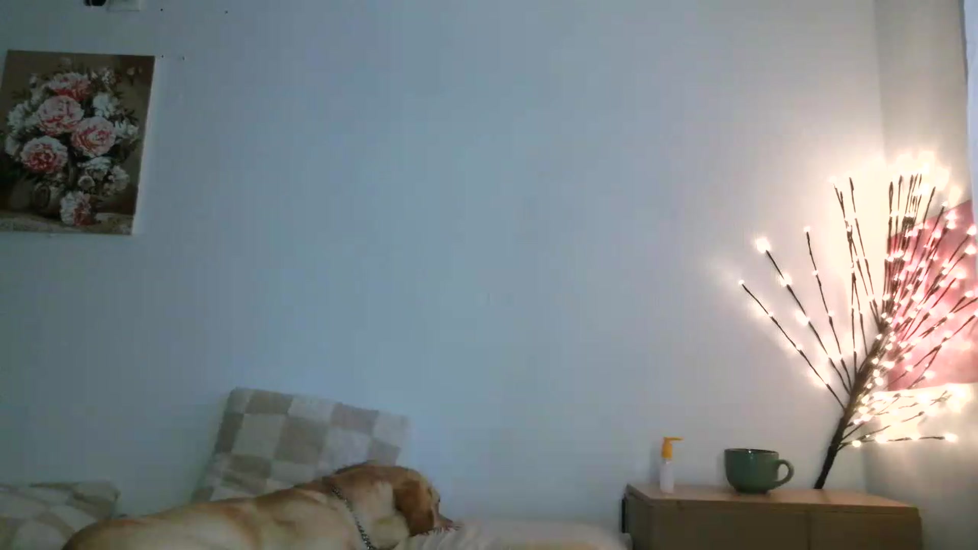Gallery image thumbnail from HaleyReed's myfreecams stream on, 07/30/2026, 15:01 image 16 of 20