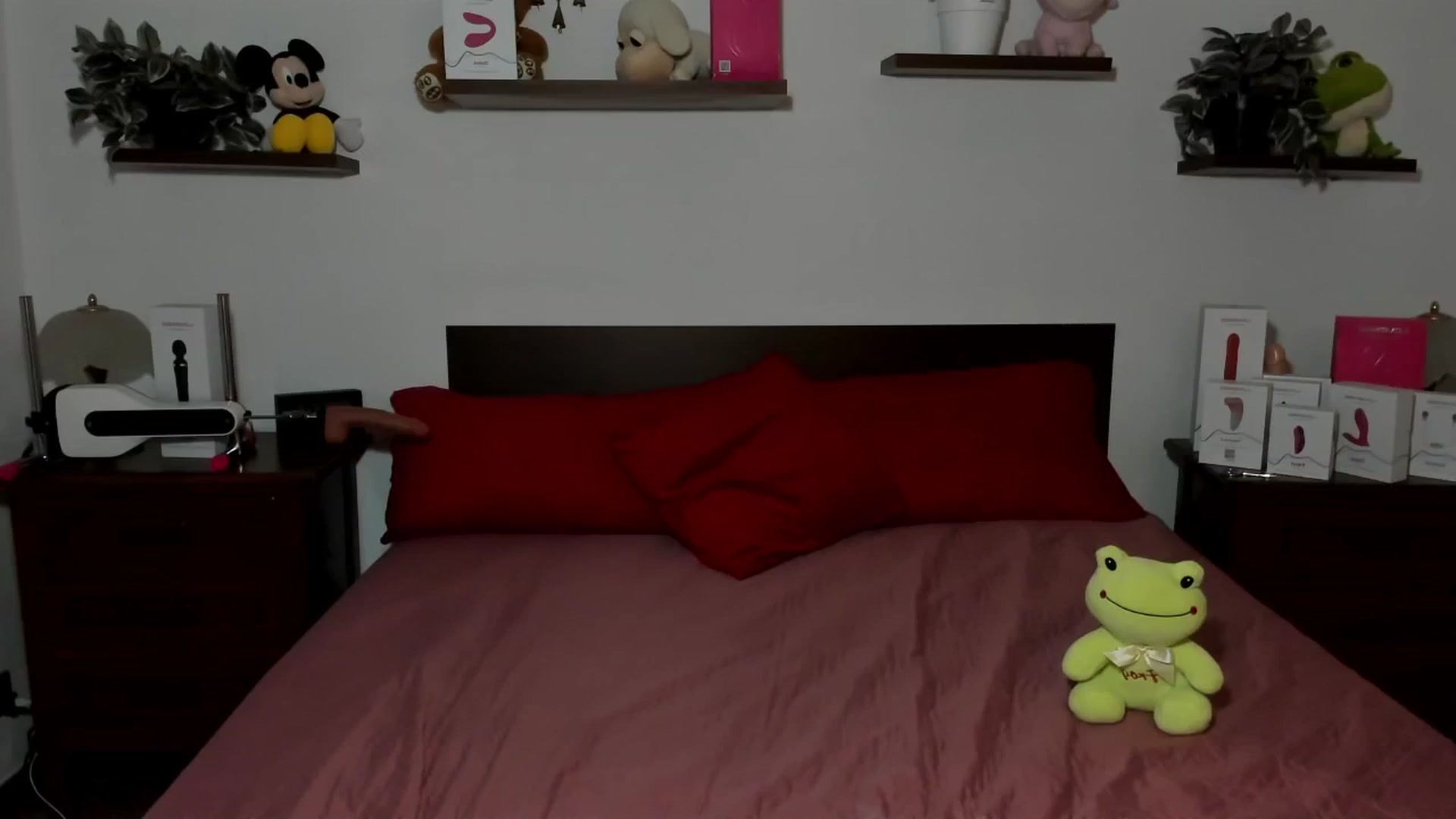 Gallery image thumbnail from HaleyReedme's myfreecams stream on, 03/19/2026, 10:47 image 1 of 20