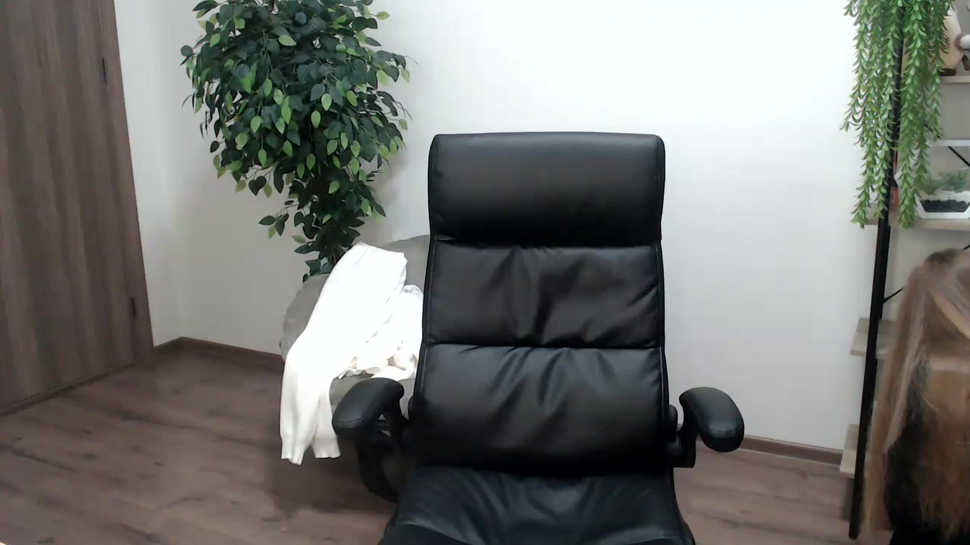 Gallery image thumbnail from HaleyVixen's myfreecams stream on, 11/23/2024, 10:13 image 13 of 20