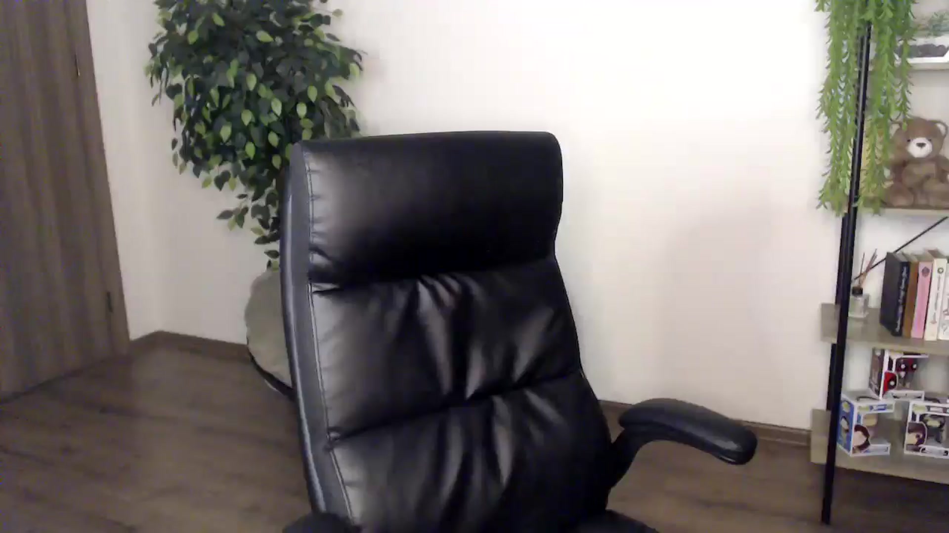 Gallery image thumbnail from HaleyVixen's myfreecams stream on, 11/30/2024, 10:46 image 2 of 20