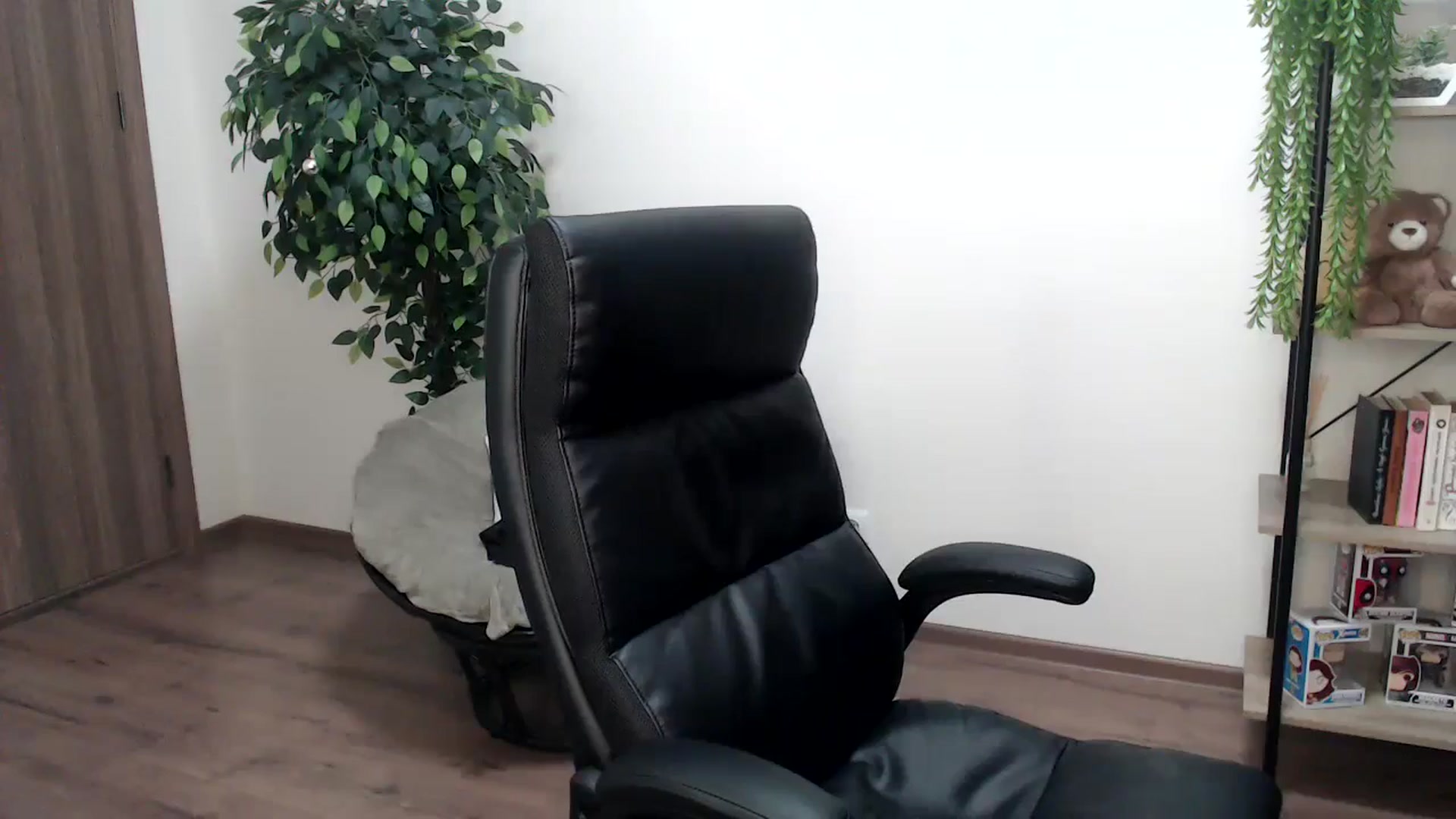 Gallery image thumbnail from HaleyVixen's myfreecams stream on, 12/02/2024, 10:58 image 18 of 20