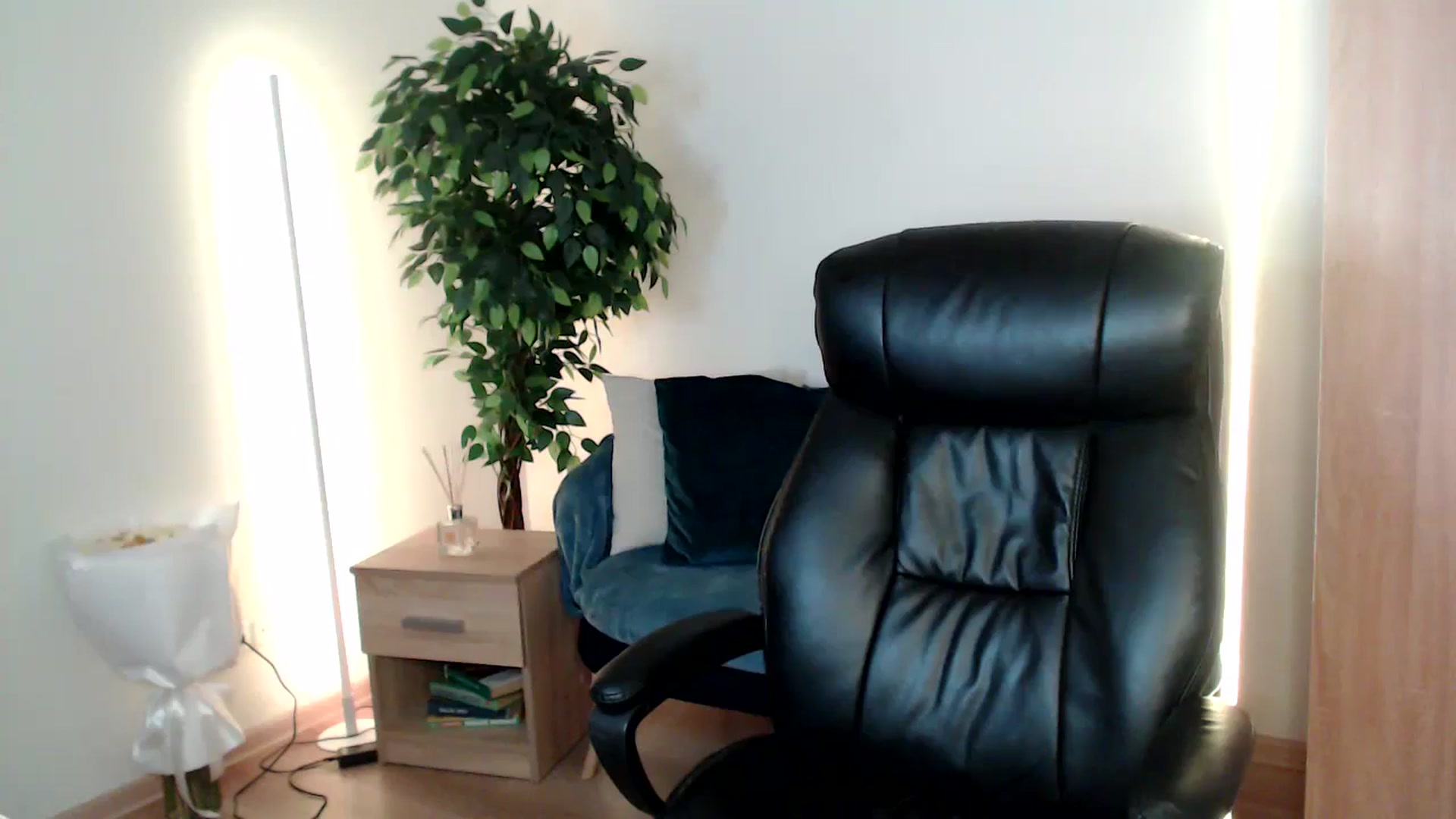 Gallery image thumbnail from HaleyVixen's myfreecams stream on, 12/21/2024, 12:27 image 9 of 20