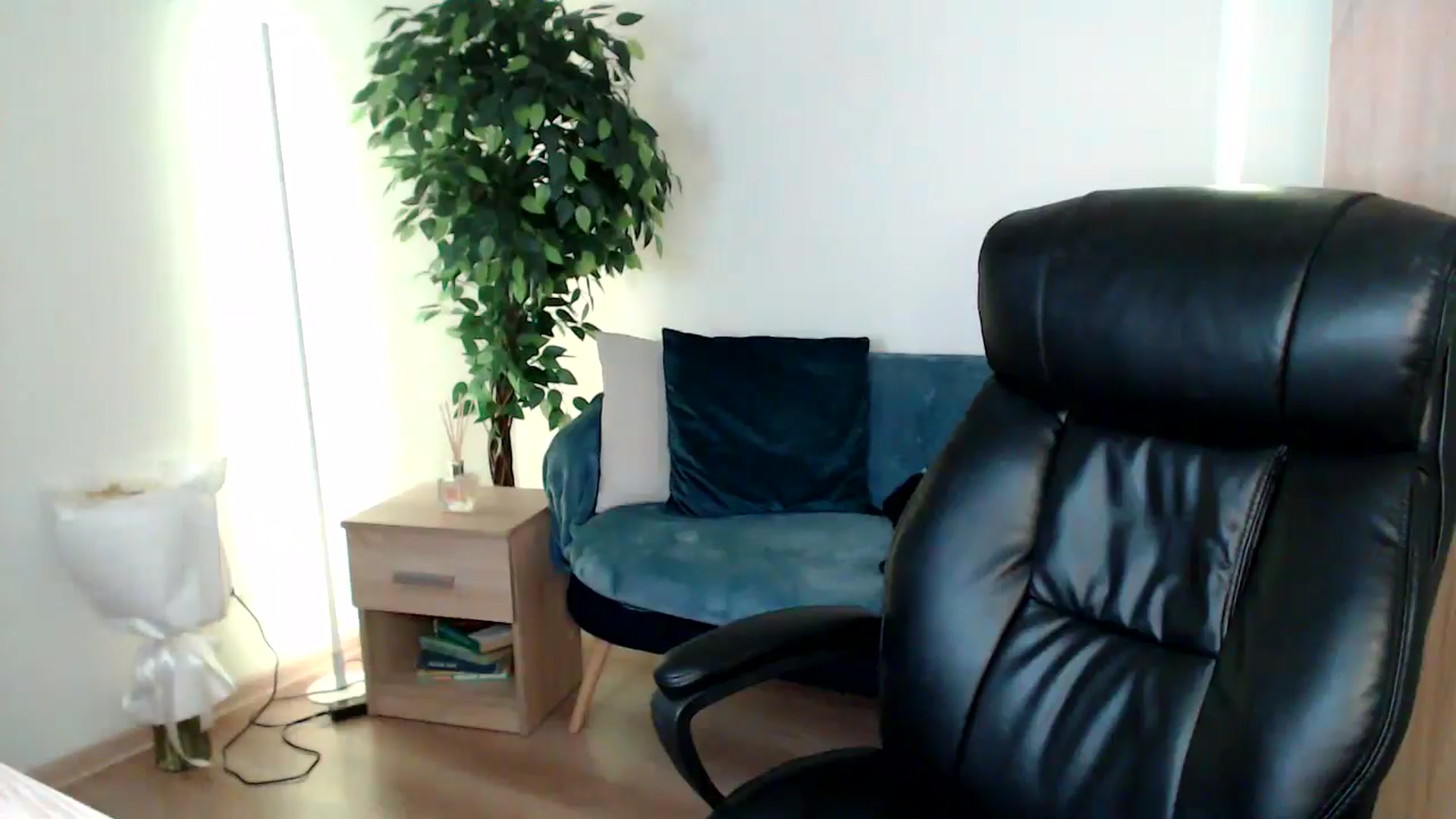 Gallery image thumbnail from HaleyVixen's myfreecams stream on, 12/22/2024, 13:16 image 16 of 20