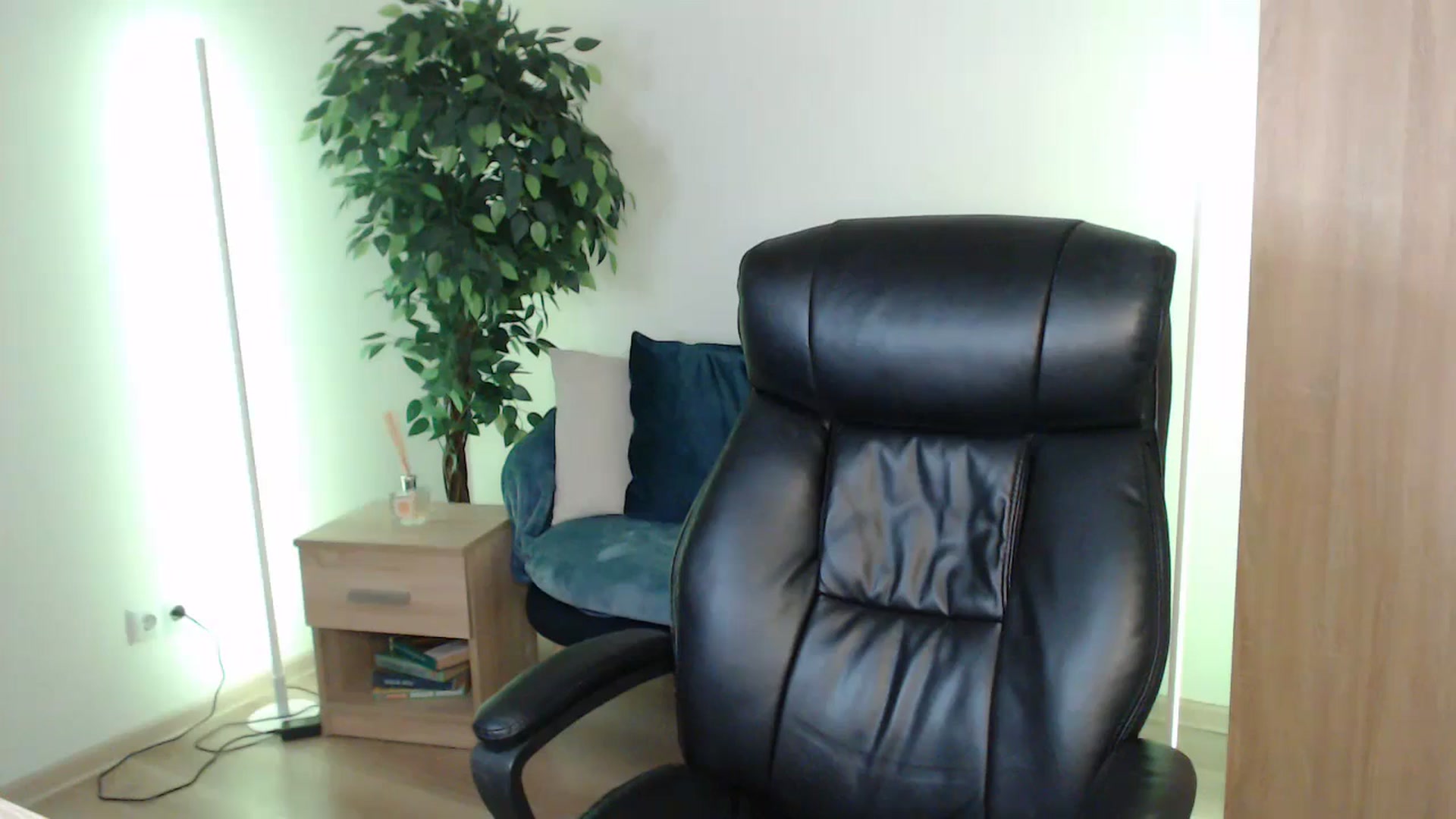 Gallery image thumbnail from HaleyVixen's myfreecams stream on, 01/13/2025, 13:34 image 15 of 20