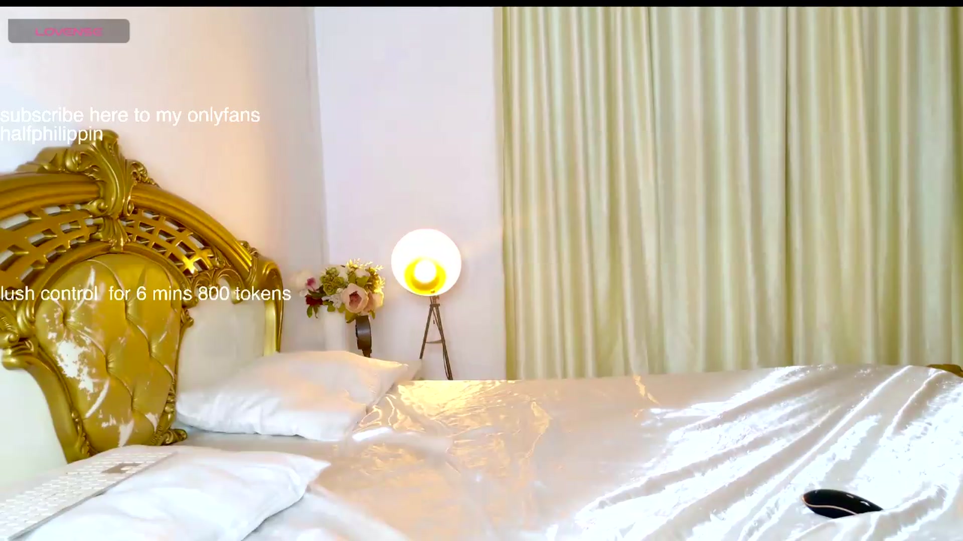 Gallery image thumbnail from HalfPhilippin's myfreecams stream on, 07/21/2026, 19:01 image 14 of 20