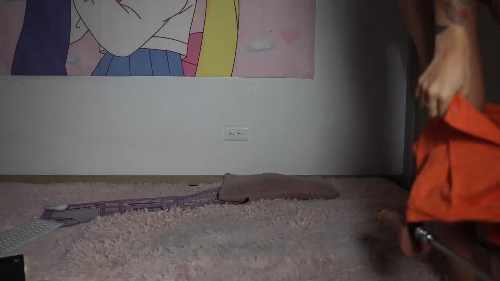 Gallery image thumbnail from Hallieee's myfreecams stream on, 04/11/2024, 20:29 image 18 of 20