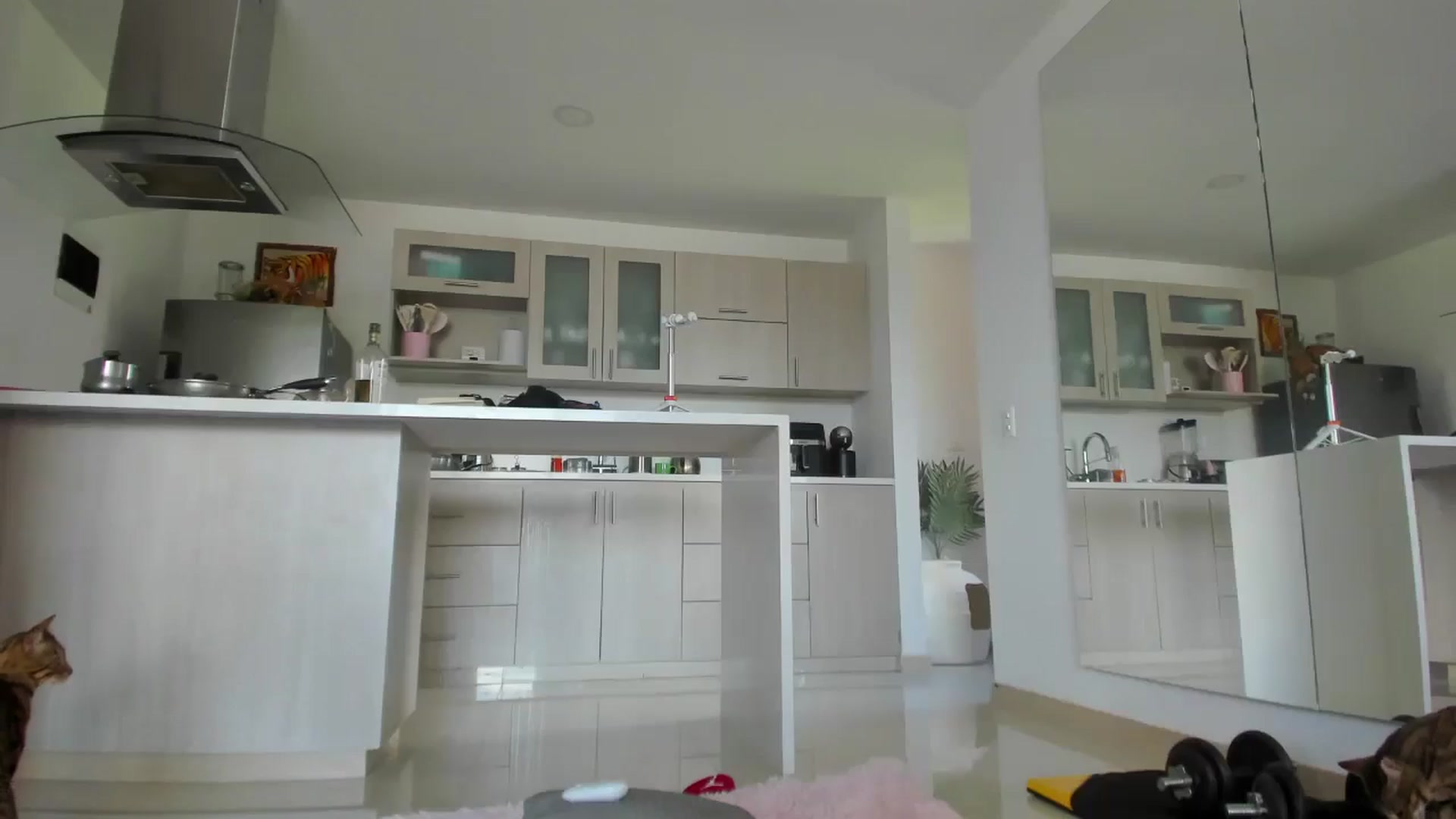 Gallery image thumbnail from Hallieee's myfreecams stream on, 11/20/2024, 16:35 image 4 of 20