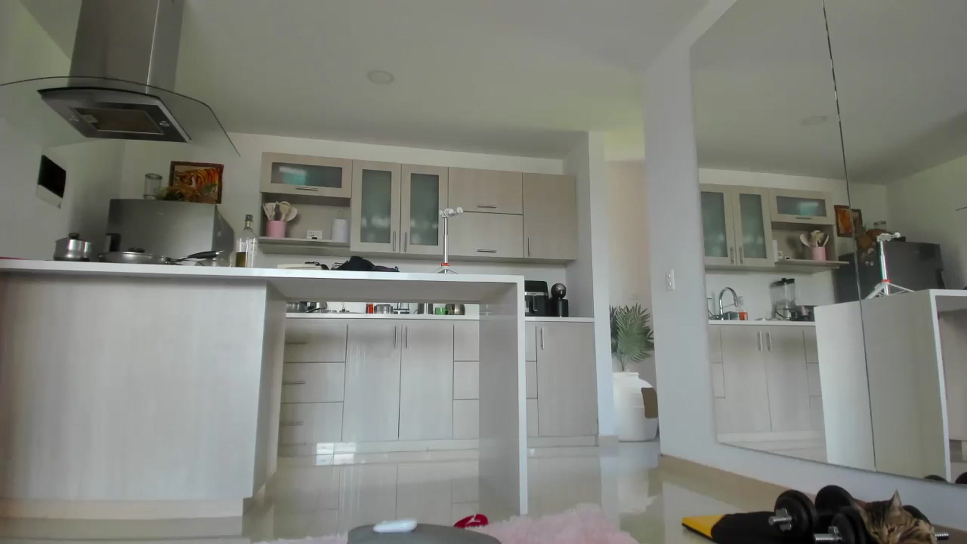 Gallery image thumbnail from Hallieee's myfreecams stream on, 11/20/2024, 16:35 image 6 of 20