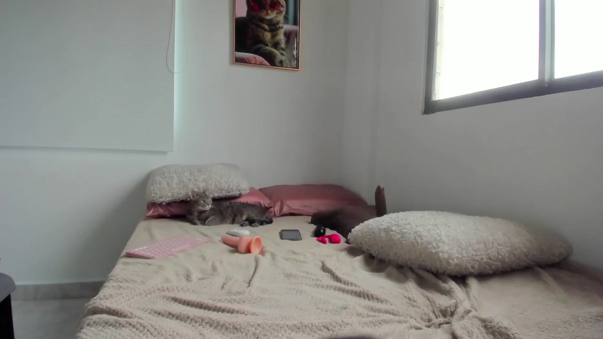 Gallery image thumbnail from Hallieee's myfreecams stream on, 05/02/2026, 14:37 image 12 of 20