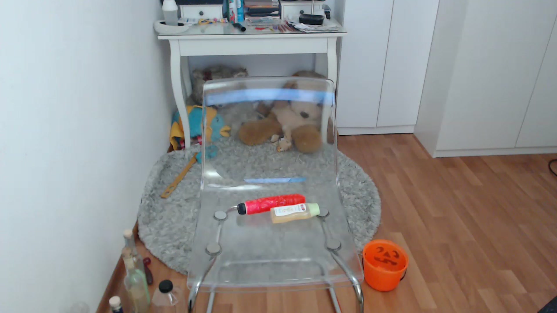 Gallery image thumbnail from HammyGirl's myfreecams stream on, 02/01/2023, 10:41 image 13 of 20