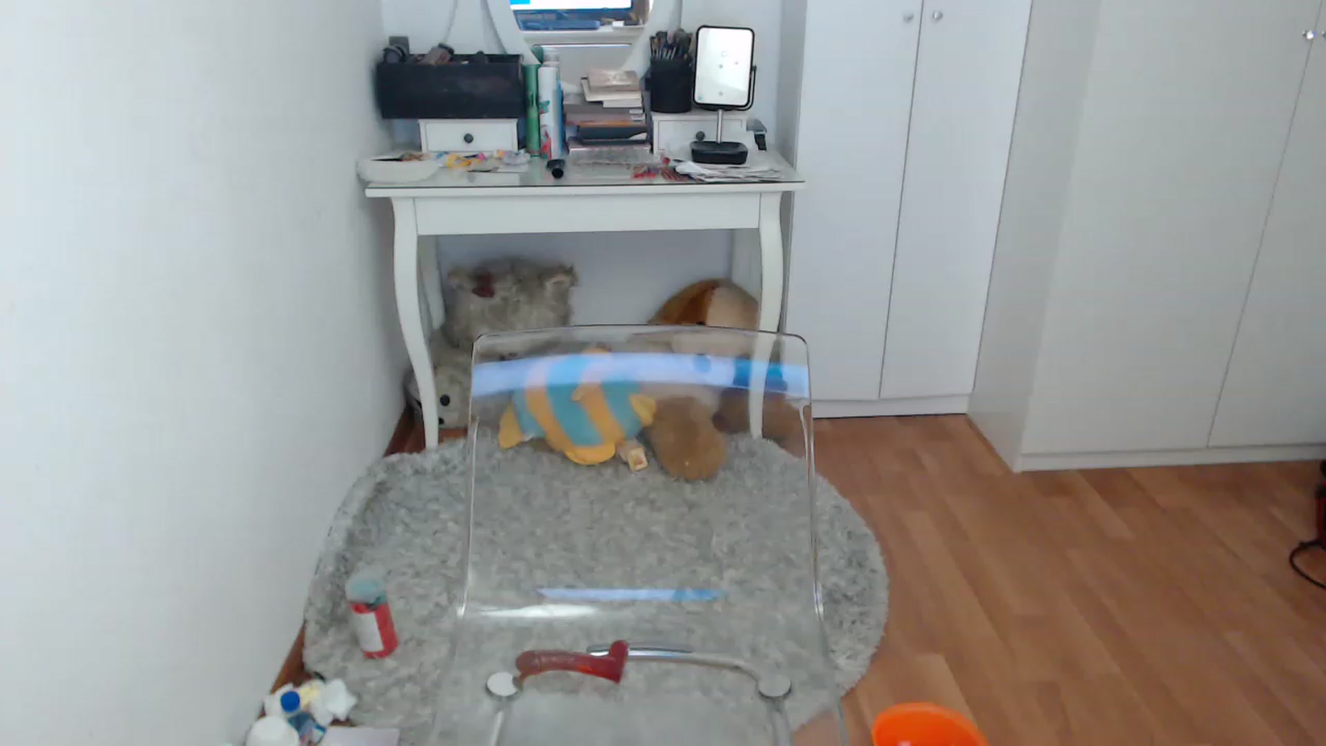 Gallery image thumbnail from HammyGirl's myfreecams stream on, 02/07/2023, 10:26 image 17 of 20