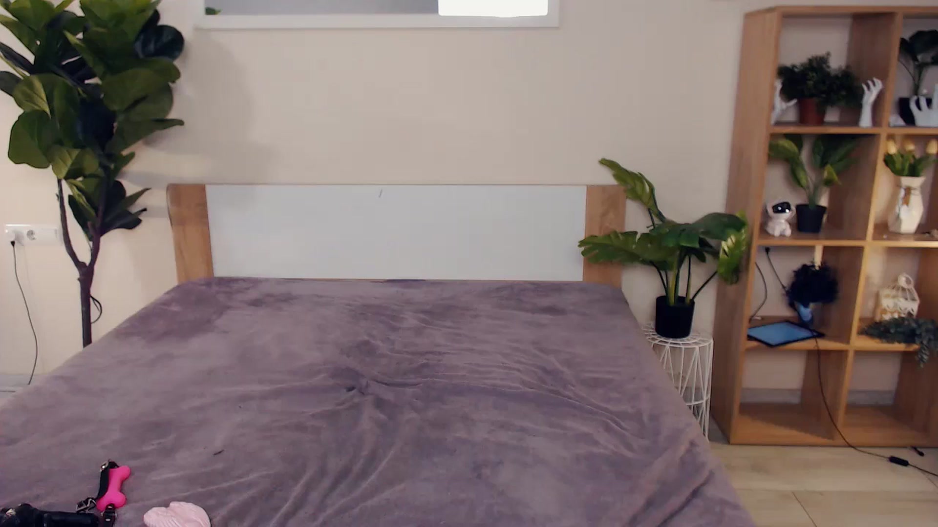 Gallery image thumbnail from Hanagasumi's myfreecams stream on, 03/29/2024, 23:05 image 16 of 20